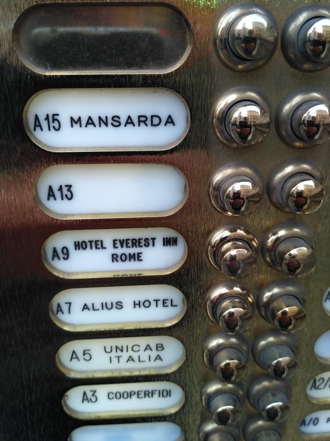 Alius Rome